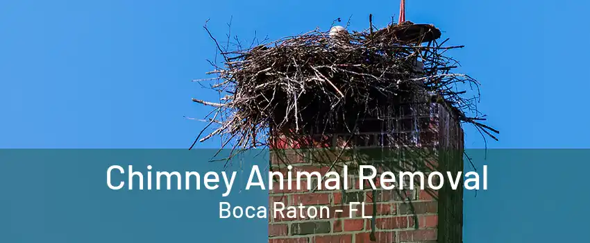 Chimney Animal Removal Boca Raton - FL