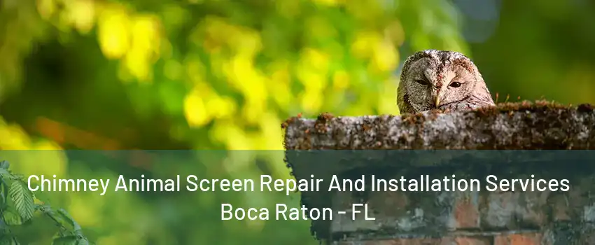 Chimney Animal Screen Repair And Installation Services Boca Raton - FL