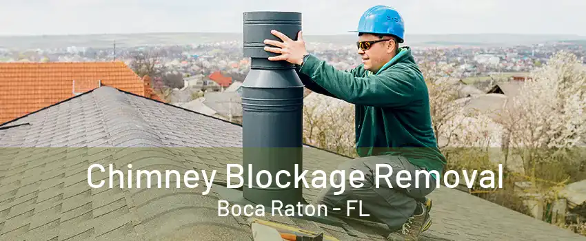 Chimney Blockage Removal Boca Raton - FL