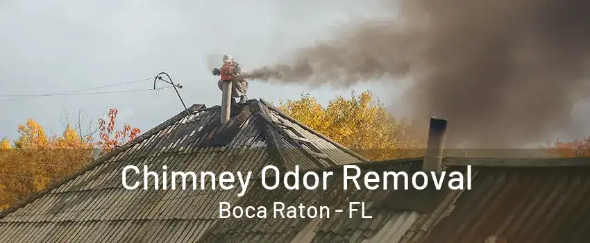 Chimney Odor Removal Boca Raton - FL