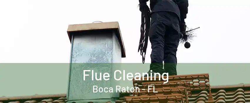 Flue Cleaning Boca Raton - FL